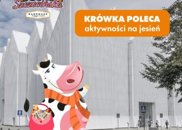 Co robić w brzydką pogodę w Szczecinie?
