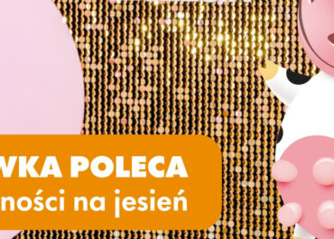 Poranki coraz częściej witają nas szarą mgłą, więc pora na dodania trochę koloru ...
