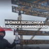 Krówka Szczecińska na Dachu Afryki! Waldemar zdobywa Kilimandżaro