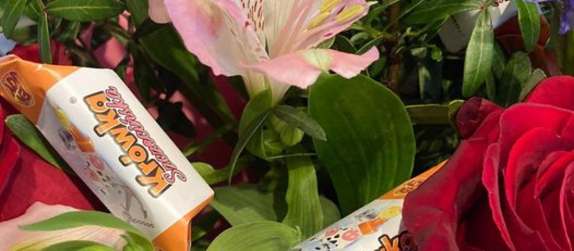 438163401_445940884861791_986210390117673300_n