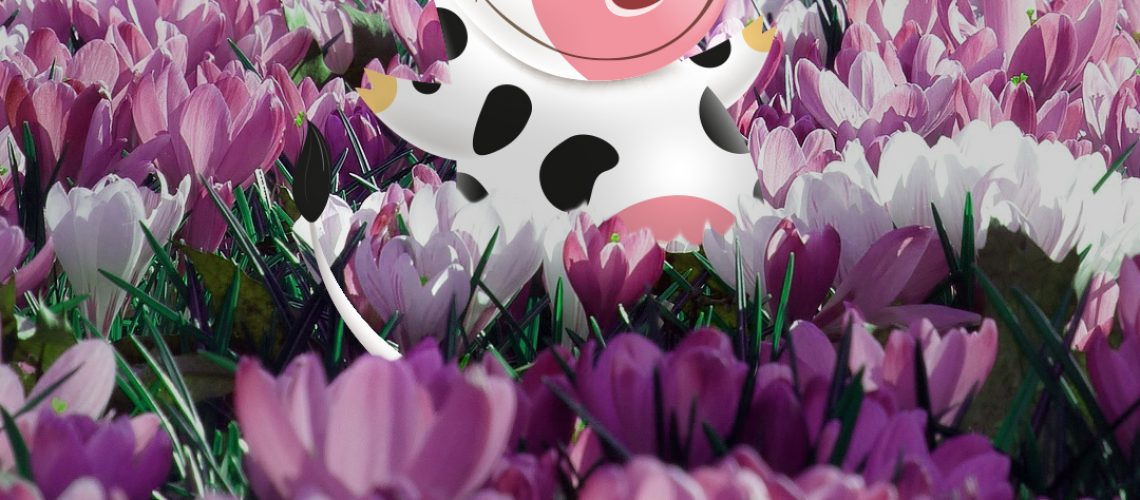 kiermaasz ogrodniczy super fm