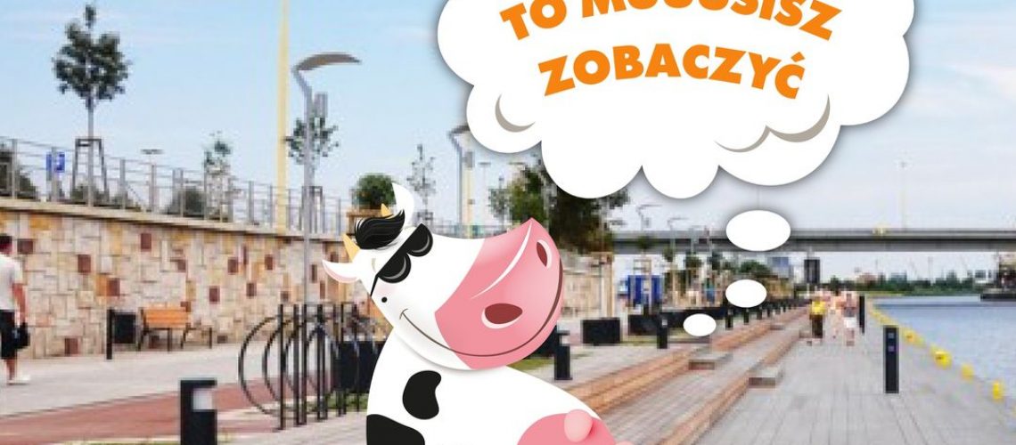 krowka-szczecinska-01072022